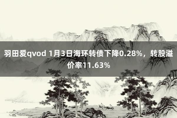 羽田爱qvod 1月3日海环转债下降0.28%，转股溢价率11.63%