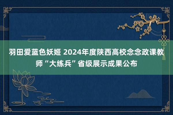 羽田爱蓝色妖姬 2024年度陕西高校念念政课教师“大练兵”省级展示成果公布