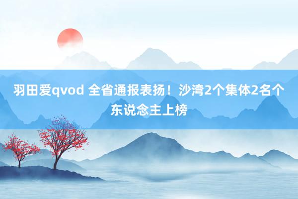 羽田爱qvod 全省通报表扬！沙湾2个集体2名个东说念主上榜