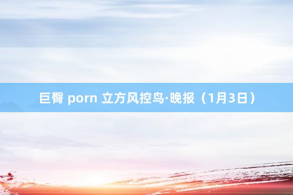 巨臀 porn 立方风控鸟·晚报（1月3日）