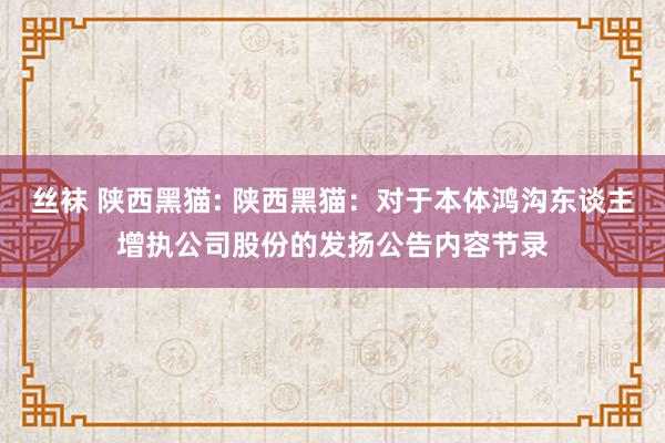 丝袜 陕西黑猫: 陕西黑猫：对于本体鸿沟东谈主增执公司股份的发扬公告内容节录