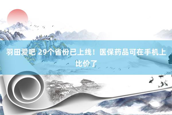 羽田爱吧 29个省份已上线！医保药品可在手机上比价了