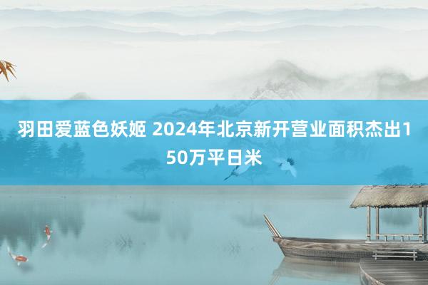 羽田爱蓝色妖姬 2024年北京新开营业面积杰出150万平日米