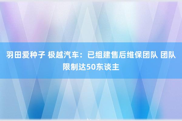 羽田爱种子 极越汽车：已组建售后维保团队 团队限制达50东谈主