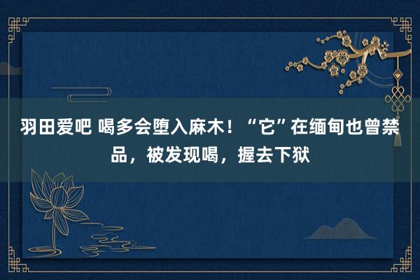 羽田爱吧 喝多会堕入麻木！“它”在缅甸也曾禁品，被发现喝，握去下狱