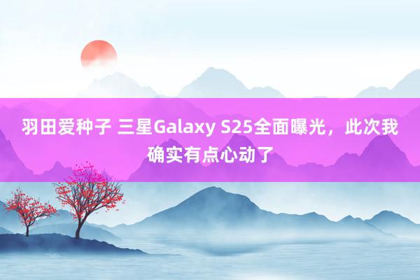 羽田爱种子 三星Galaxy S25全面曝光，此次我确实有点心动了