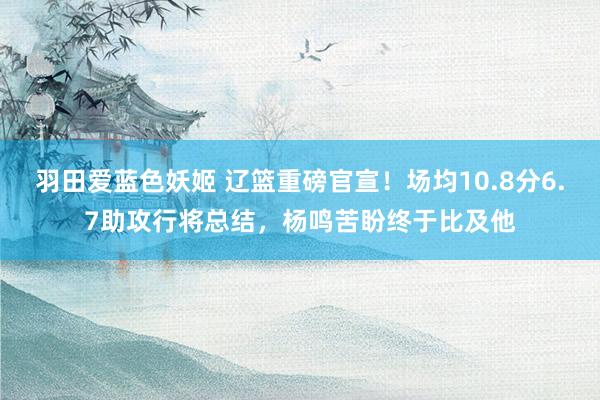 羽田爱蓝色妖姬 辽篮重磅官宣！场均10.8分6.7助攻行将总结，杨鸣苦盼终于比及他