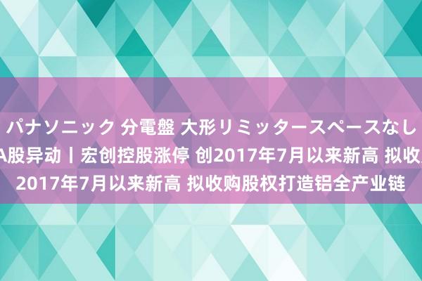 パナソニック 分電盤 大形リミッタースペースなし 露出・半埋込両用形 A股异动丨宏创控股涨停 创2017年7月以来新高 拟收购股权打造铝全产业链