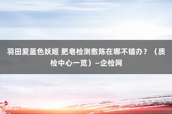 羽田爱蓝色妖姬 肥皂检测敷陈在哪不错办？（质检中心一览）—企检网