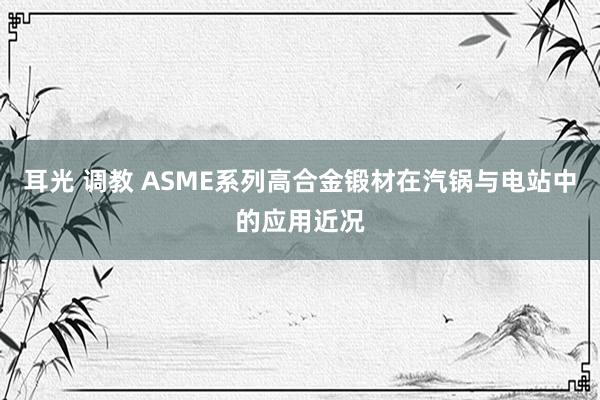 耳光 调教 ASME系列高合金锻材在汽锅与电站中的应用近况