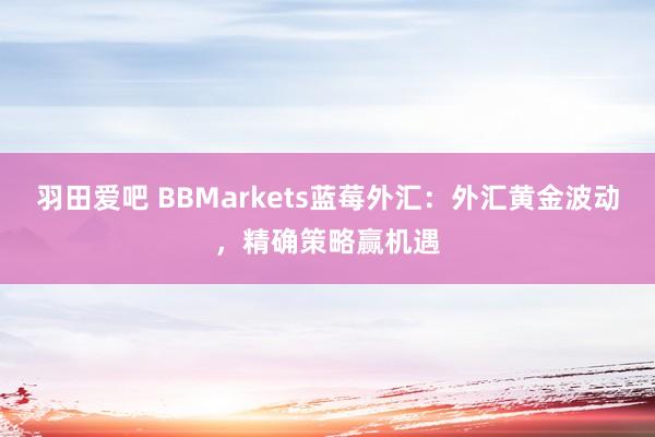 羽田爱吧 BBMarkets蓝莓外汇：外汇黄金波动，精确策略赢机遇