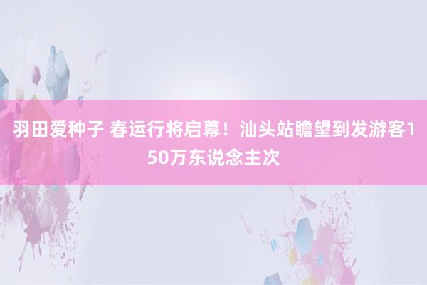 羽田爱种子 春运行将启幕！汕头站瞻望到发游客150万东说念主次