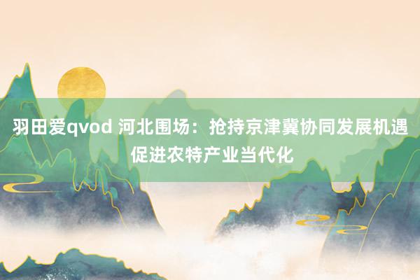 羽田爱qvod 河北围场：抢持京津冀协同发展机遇 促进农特产业当代化