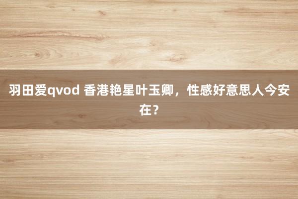 羽田爱qvod 香港艳星叶玉卿，性感好意思人今安在？