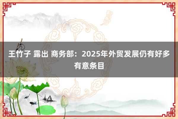 王竹子 露出 商务部：2025年外贸发展仍有好多有意条目