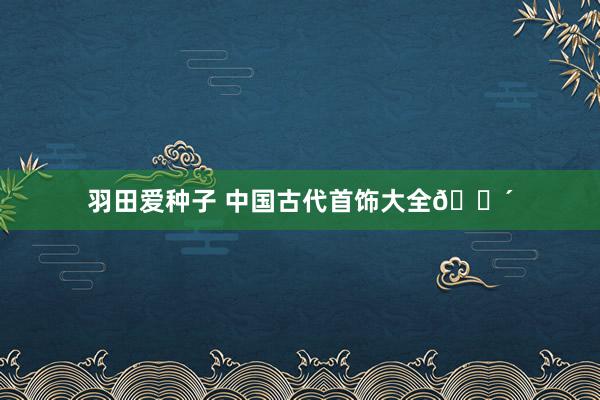 羽田爱种子 中国古代首饰大全🔴