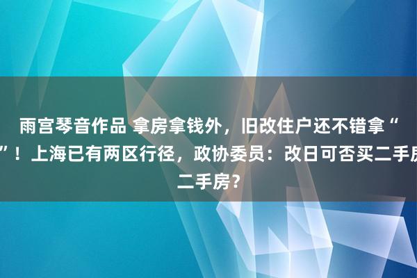 雨宫琴音作品 拿房拿钱外，旧改住户还不错拿“票”！上海已有两区行径，政协委员：改日可否买二手房？